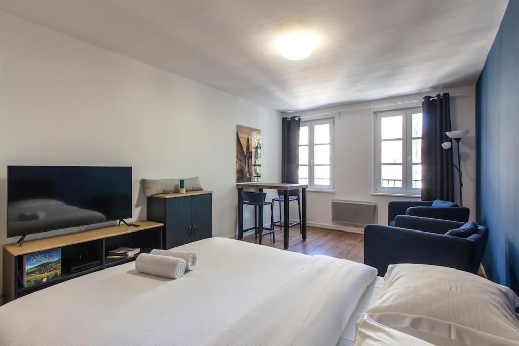 Le 52 Zix - Joli Studio Au Coeur De La Petite France Strasbourg Eksteriør billede